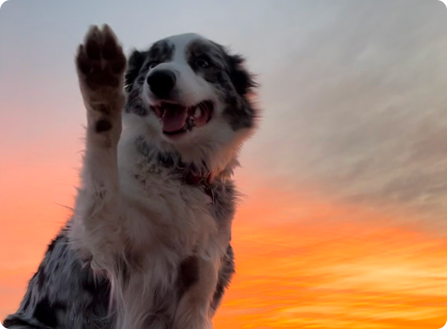 A-1 office Shoot-90 1